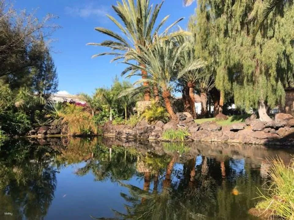 Oasis Wildlife Fuerteventura entrance with lemur experience