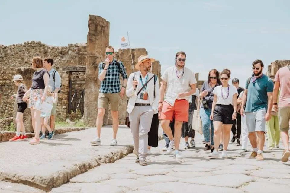 Pompeii and Mount Vesuvius Small Group Excursion from Naples
