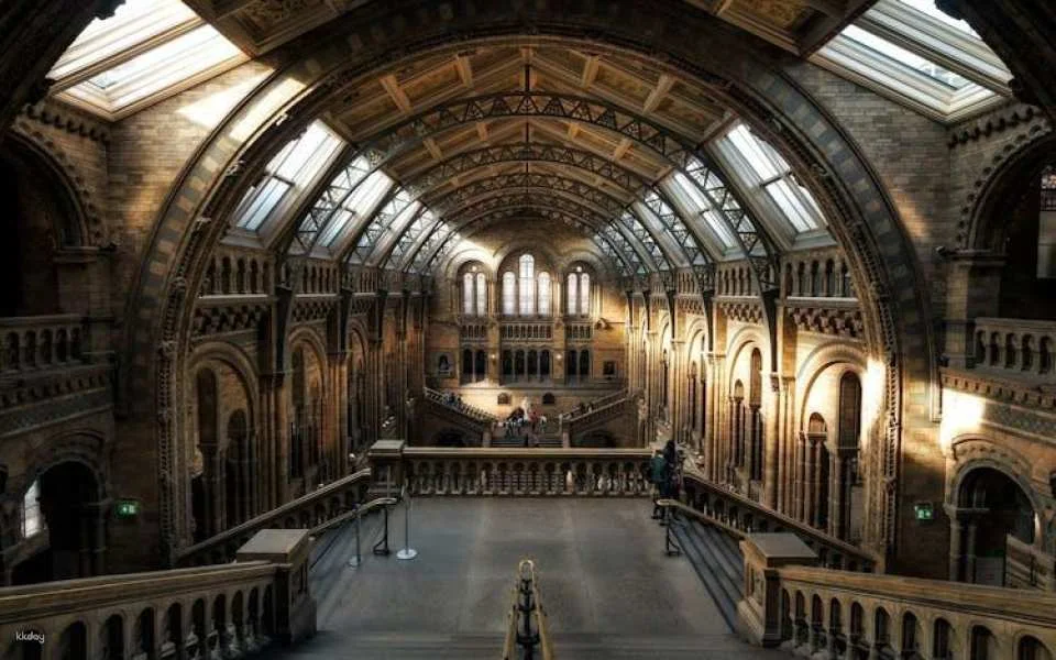 London Natural History Museum With German In-App Audio Tour