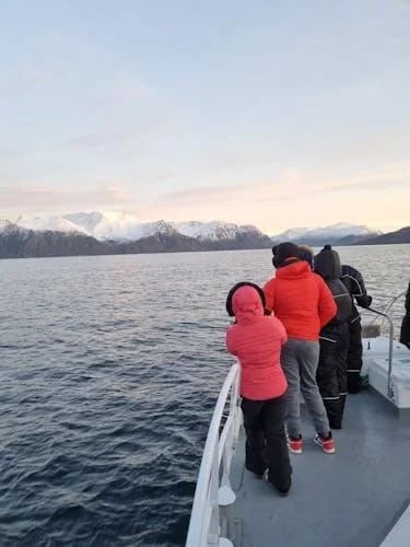 Polar whale safari from Tromso by boat