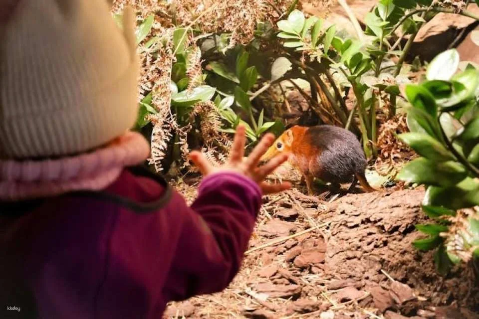 Prague Zoo ticket with online audio guide