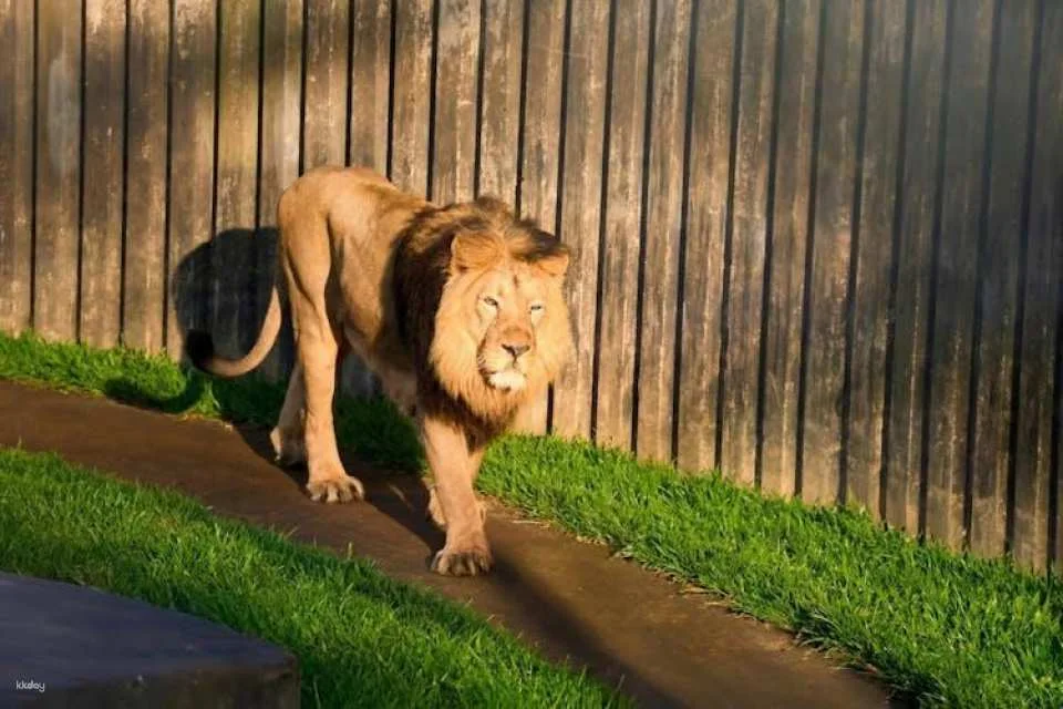 Prague Zoo ticket with online audio guide