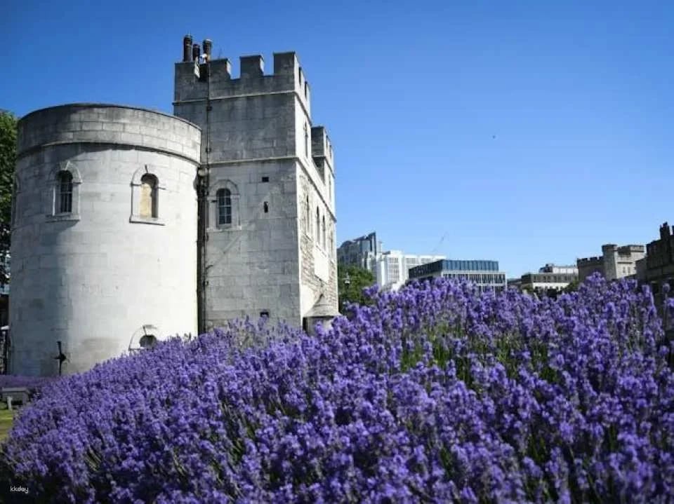 Harry Potter Guided Walking Tour with Tower of London Tickets