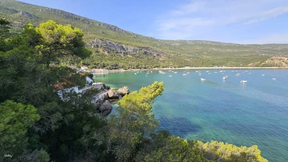 Arrábida Natural Park Shared Group Tour