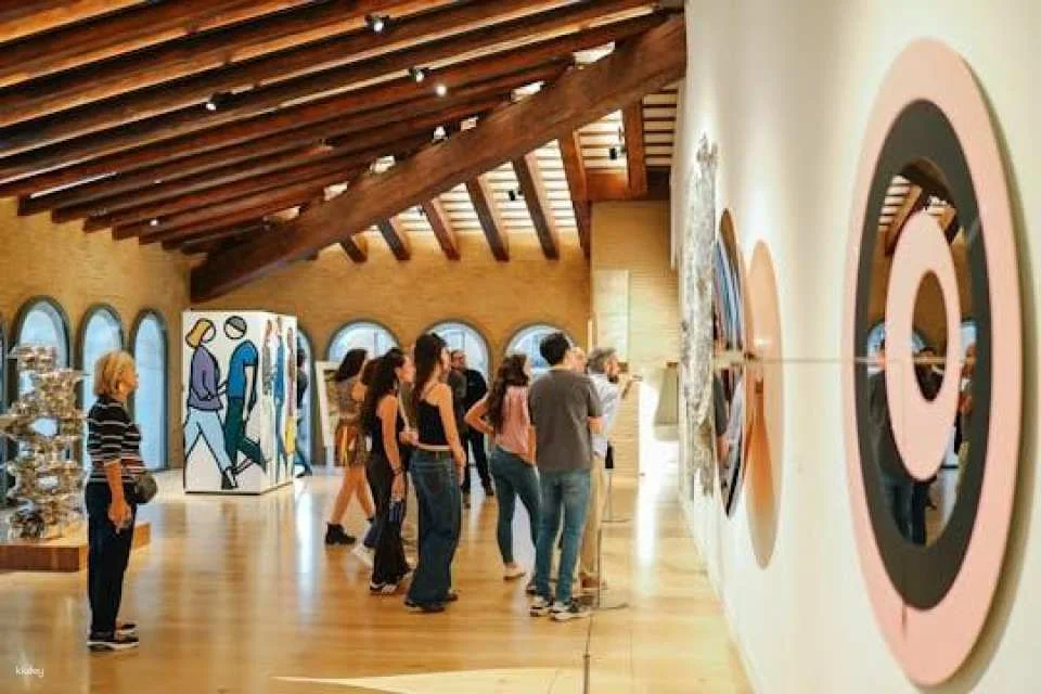 Hortensia Herrero Art Centre Guided Tour (608390)
