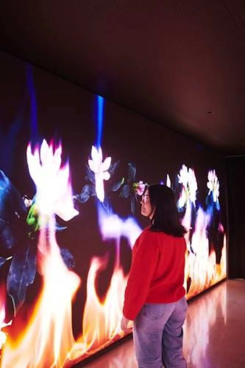 Hortensia Herrero Art Centre Guided Tour