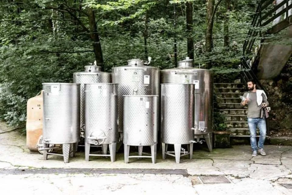 Organic wine tasting and farm tour in Valtenesi area