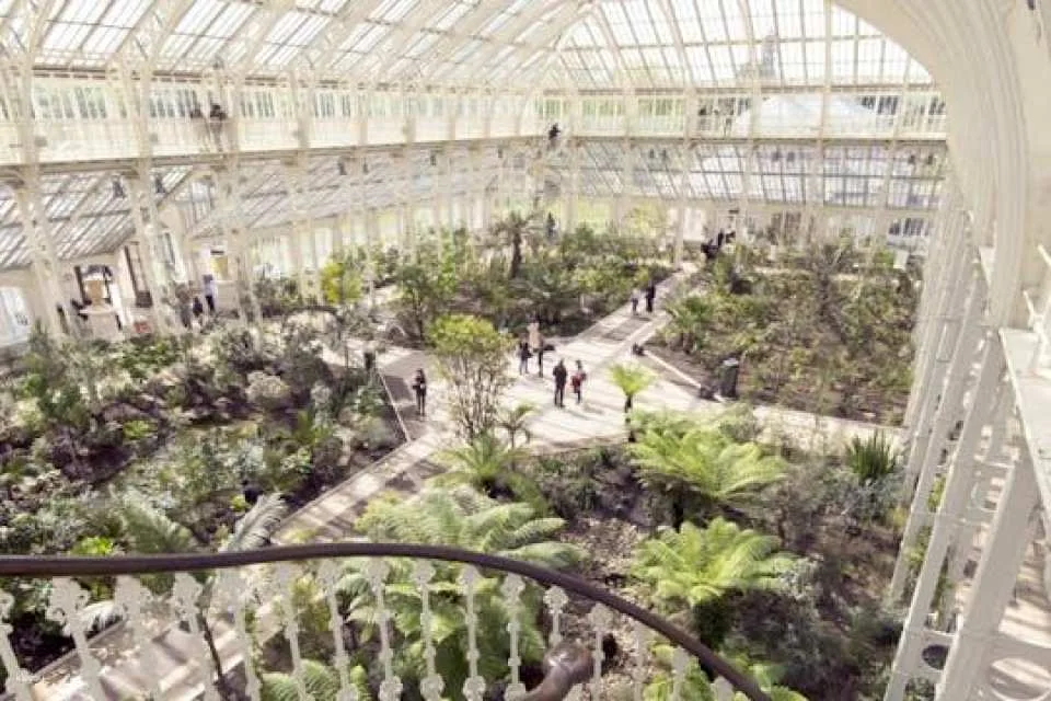 Westminster Walking Tour with Visit to Kew Gardens (608435)