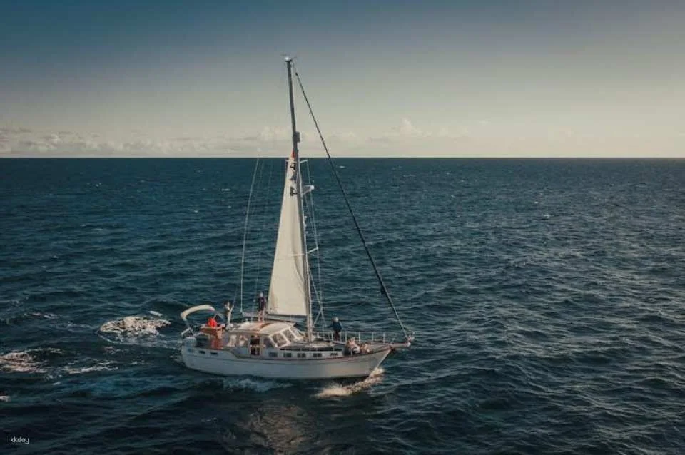 West Bays Sailing Trip from Funchal with Lunch