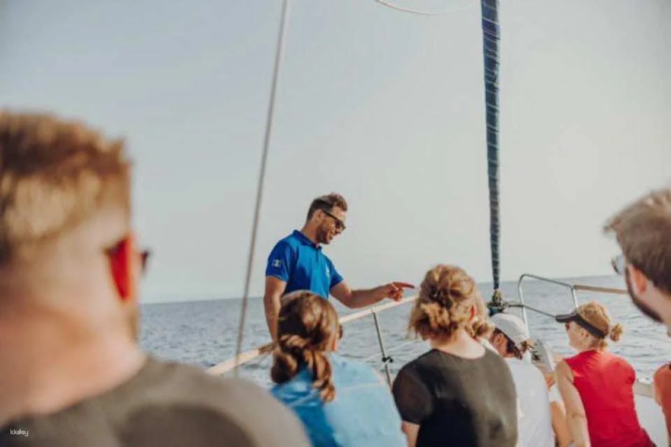West Bays Sailing Trip from Funchal with Lunch