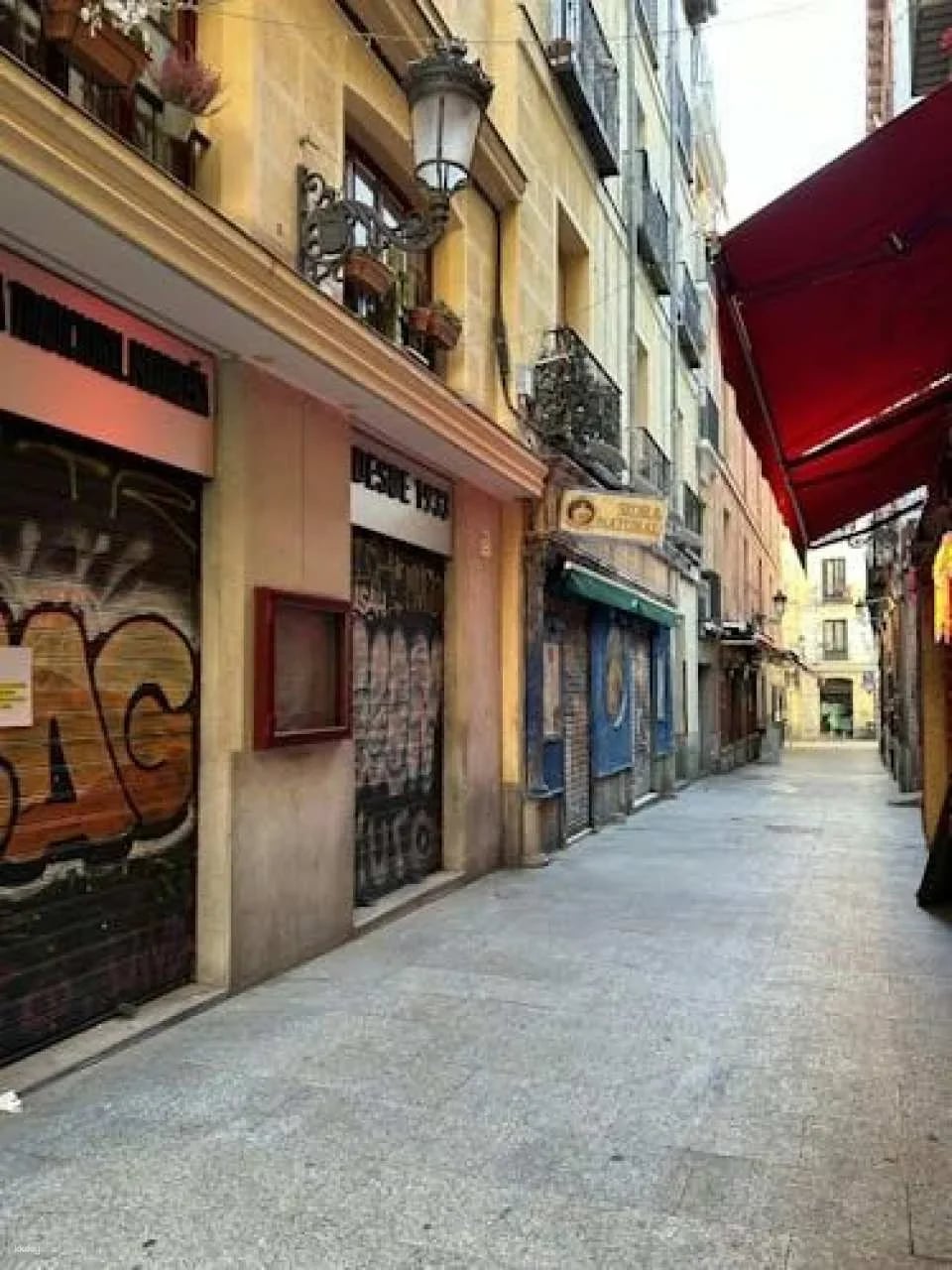 Guided walking tour of Madrid's Literary Quarter