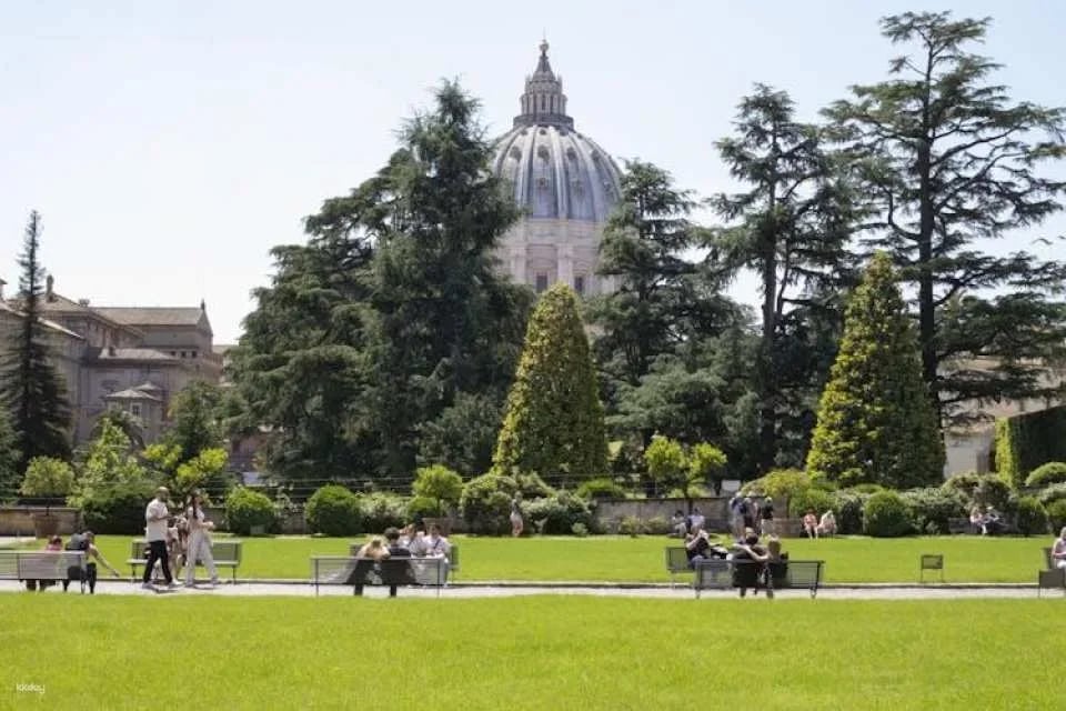 Vatican Museums, St. Peter's Basilica and Sistine Chapel Guided Tour