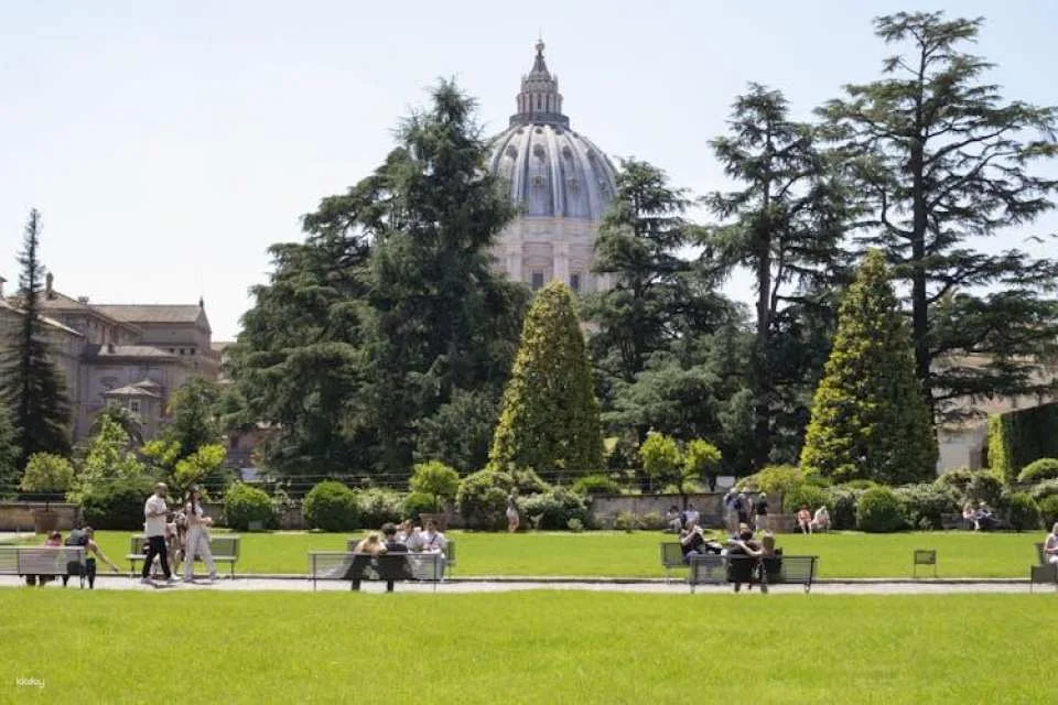Vatican Museums, St. Peter's Basilica and Sistine Chapel Guided Tour