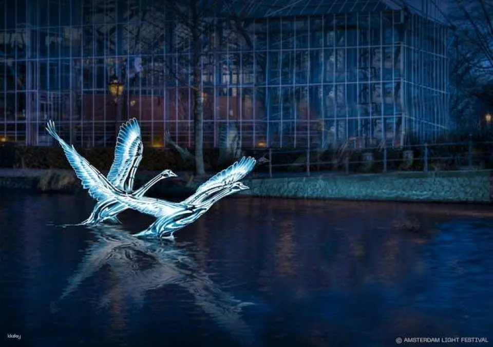 Amsterdam Light Festival cruise with open bar