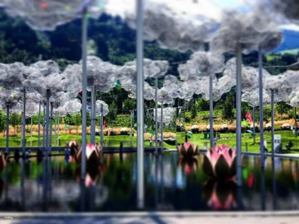 Private half-day trip to Swarovski Crystal Worlds from Innsbruck