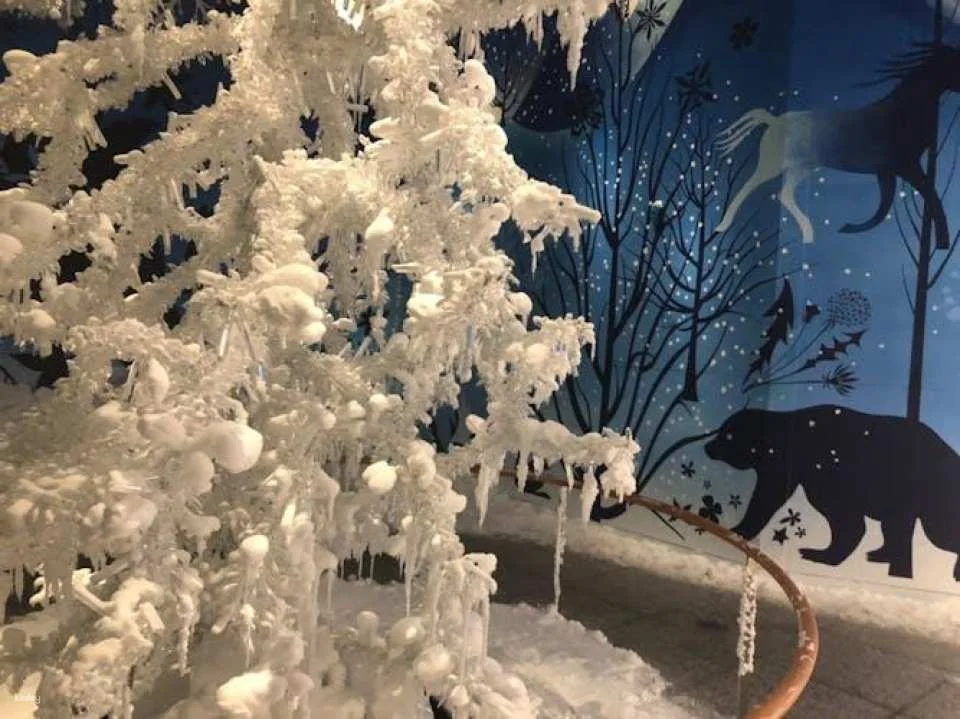 Private half-day trip to Swarovski Crystal Worlds from Innsbruck