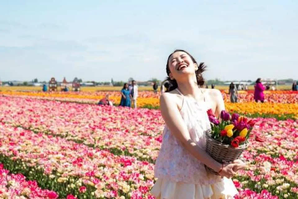 Tulip experience self-guided half-day tour in Amsterdam