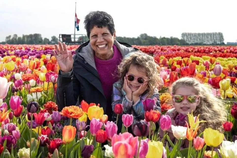 Tulip experience self-guided half-day tour in Amsterdam