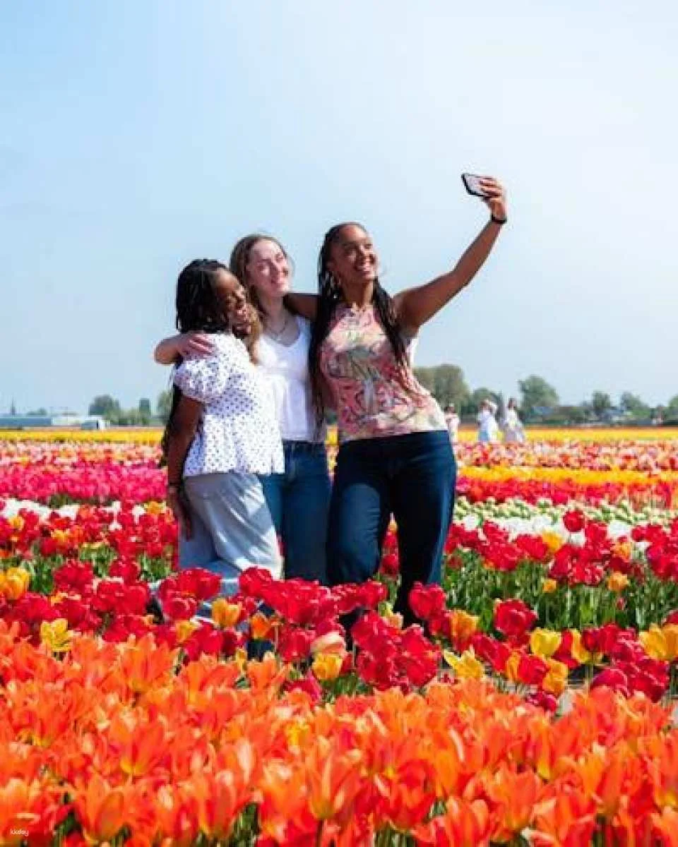 Tulip experience self-guided half-day tour in Amsterdam