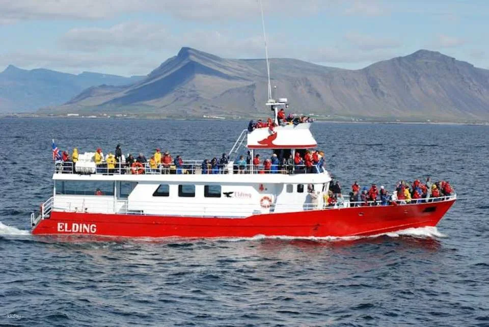 ATV riding and whale watching combo