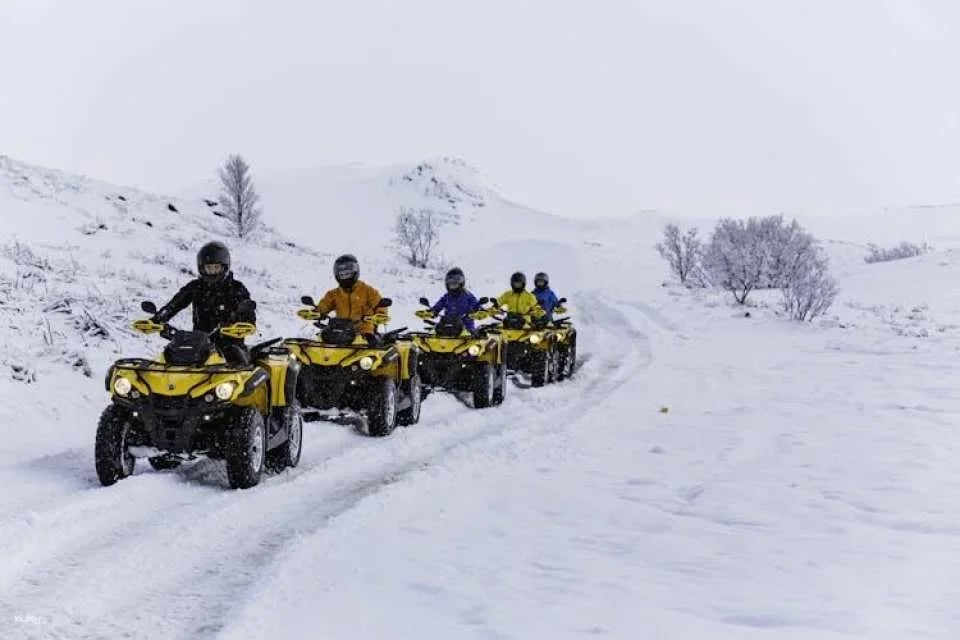 ATV riding and whale watching combo