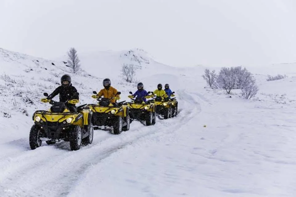 ATV riding and whale watching combo