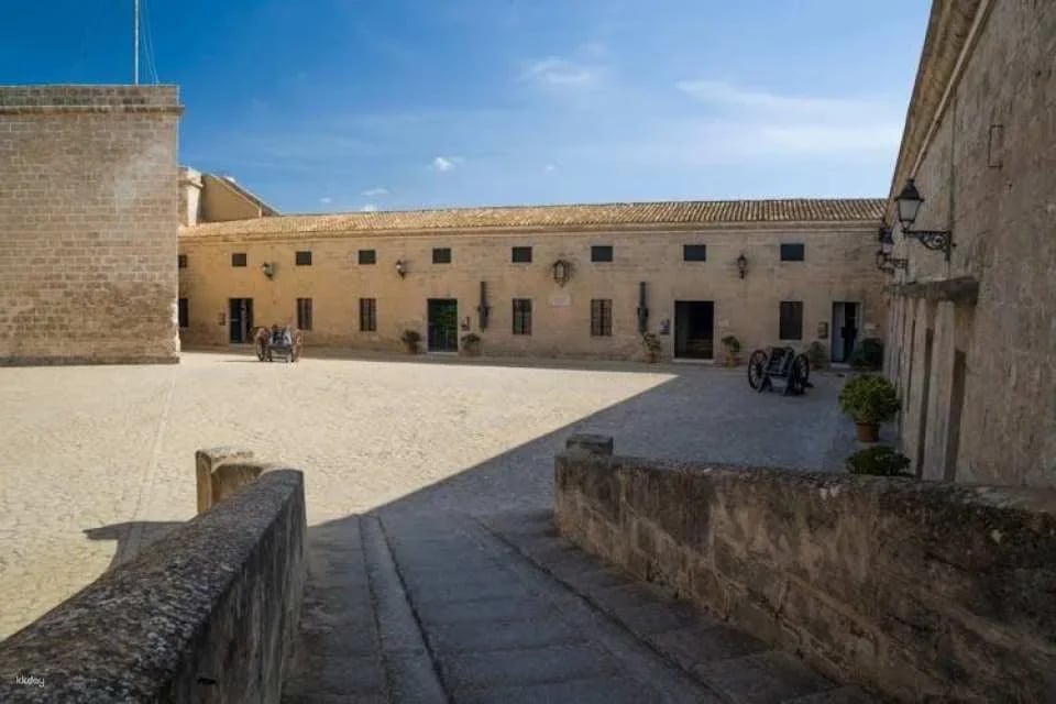 Majorca photographic sightseeing tour