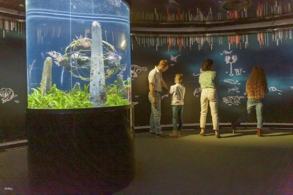 Entrance ticket to La Cité de la Mer
