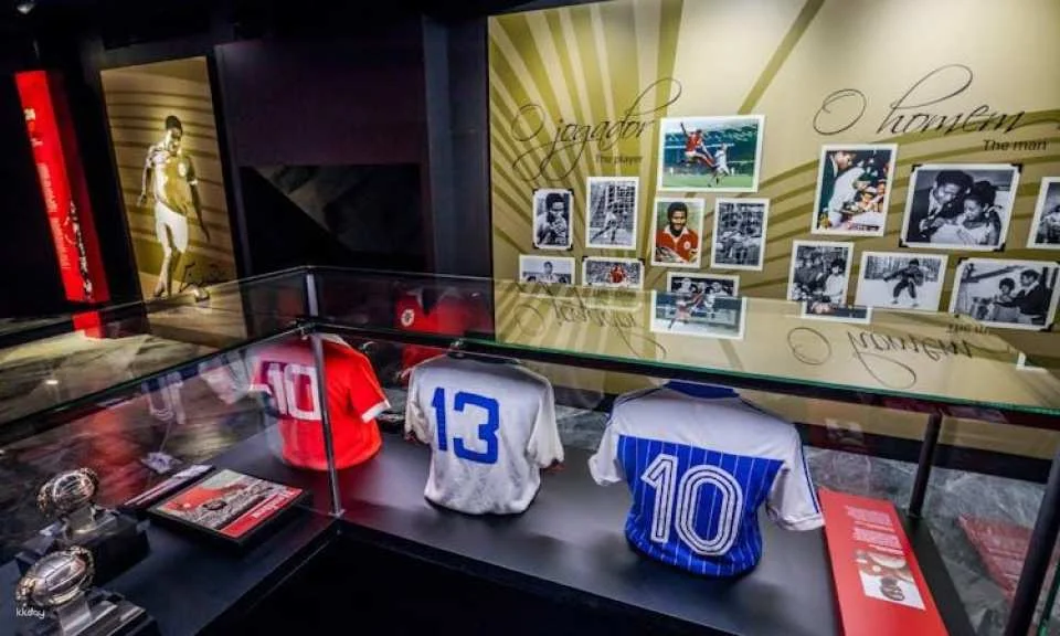 SL Benfica Stadium and Cosme Damião Museum tour with light meal