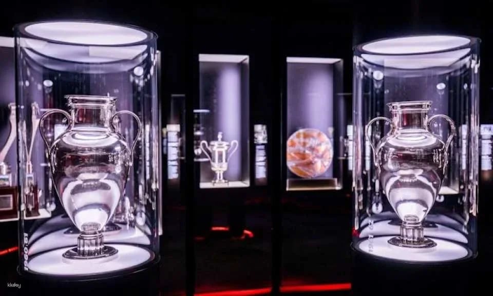 SL Benfica Stadium and Cosme Damião Museum tour with light meal