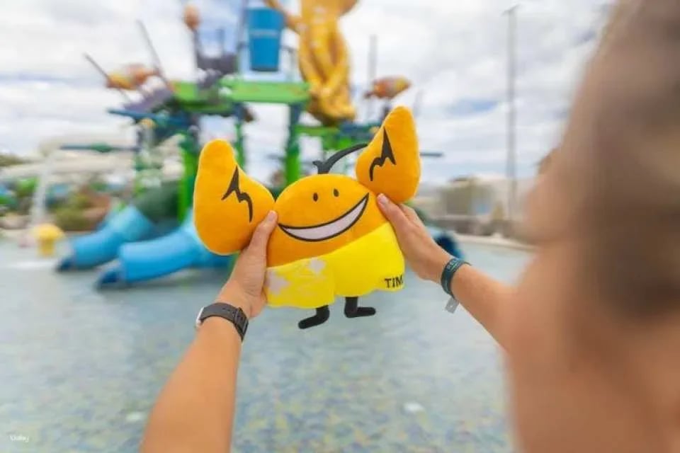 Aqualava Water Park