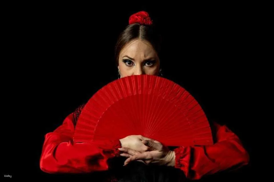 Traditional flamenco show in a brick cave in Madrid