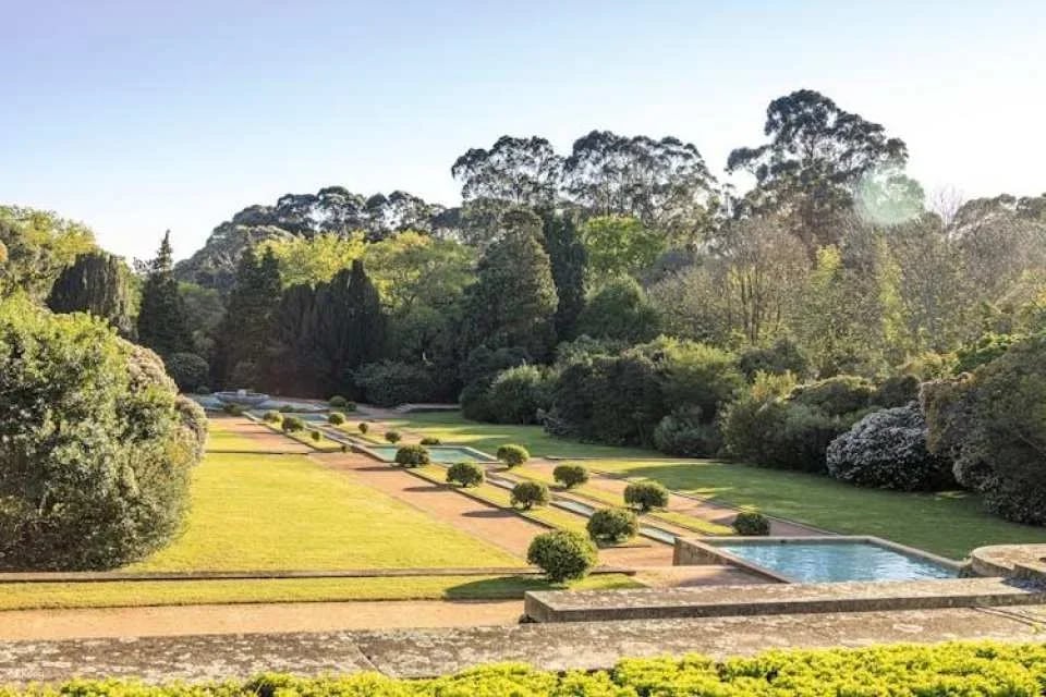 Serralves All-Access Pass