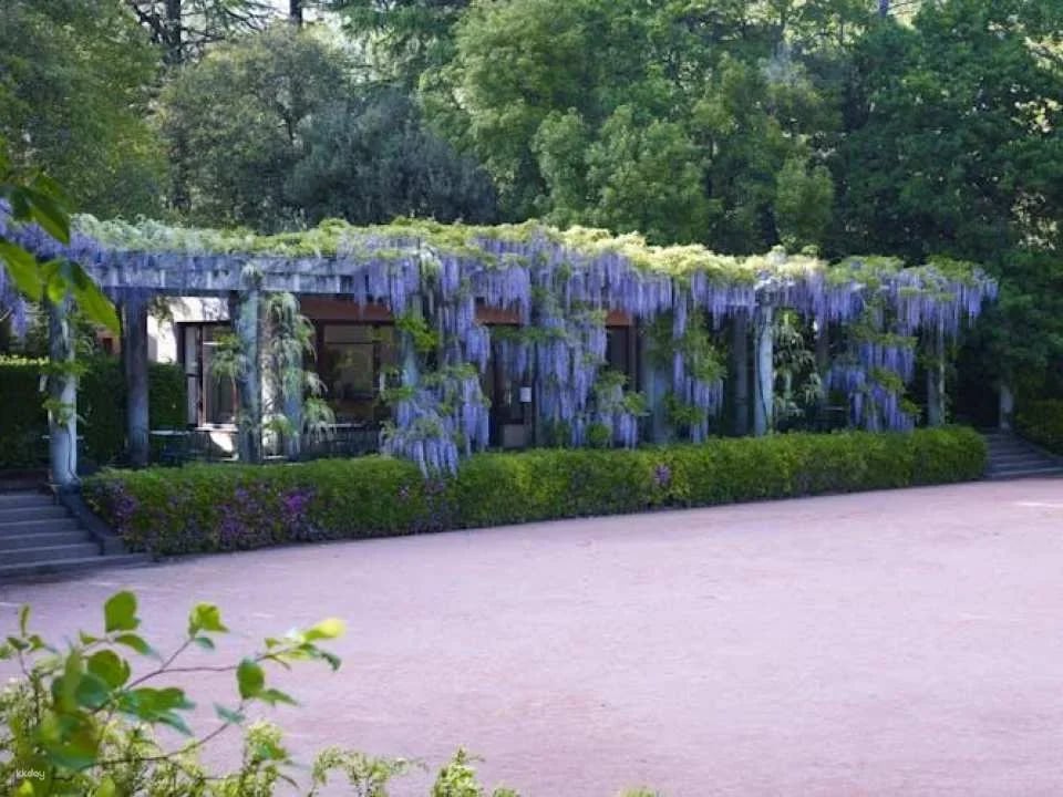 Serralves All-Access Pass