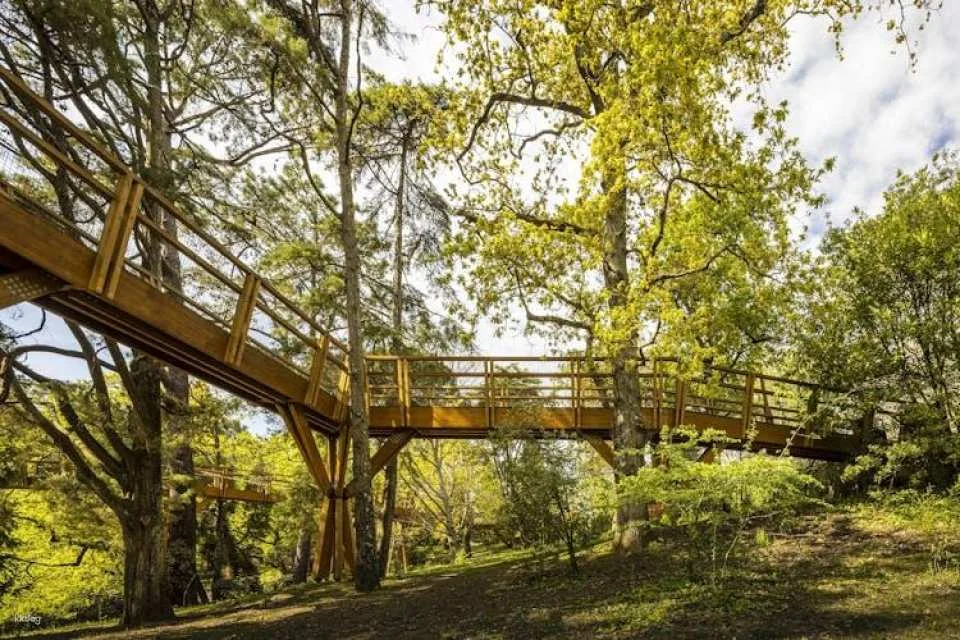 Serralves All-Access Pass
