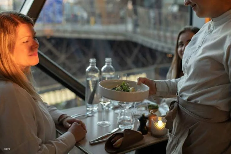 Audioguided tour of the Eiffel Tower with lunch