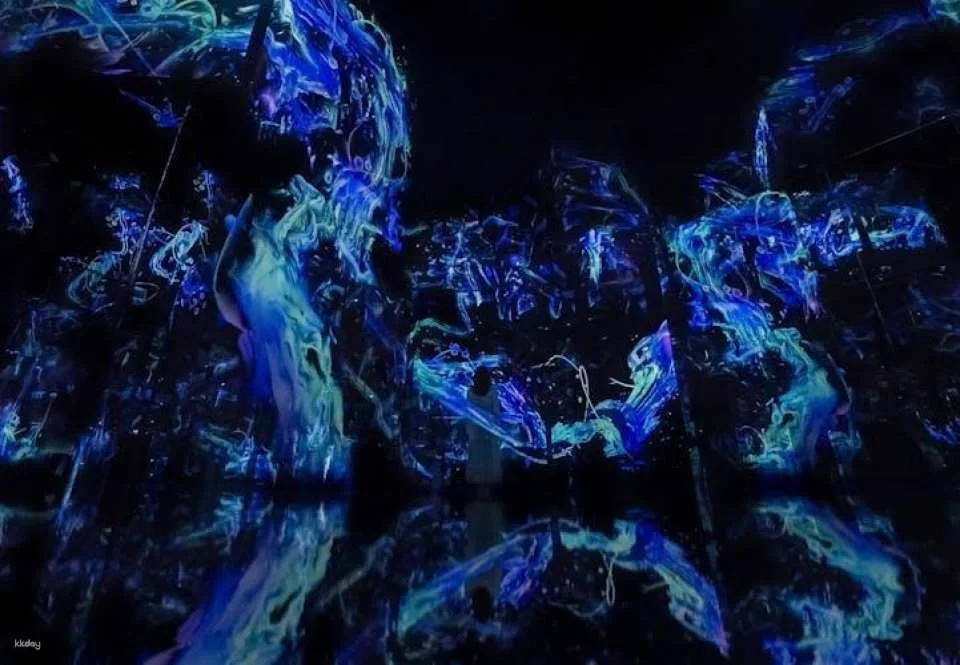 TeamLab Phenomena multisensory art experience Abu Dhabi tickets