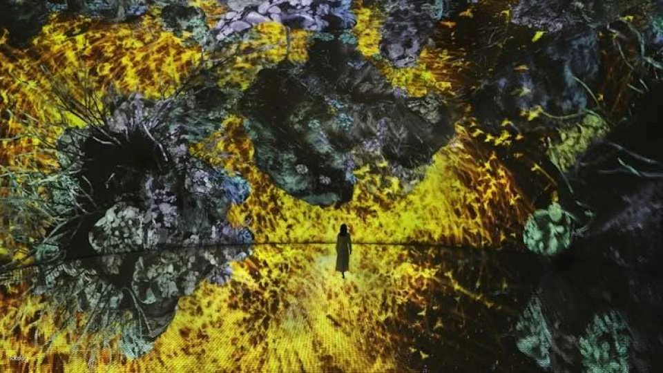 TeamLab Phenomena multisensory art experience Abu Dhabi tickets