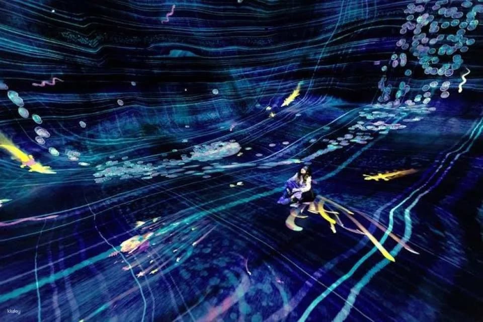TeamLab Phenomena multisensory art experience Abu Dhabi tickets