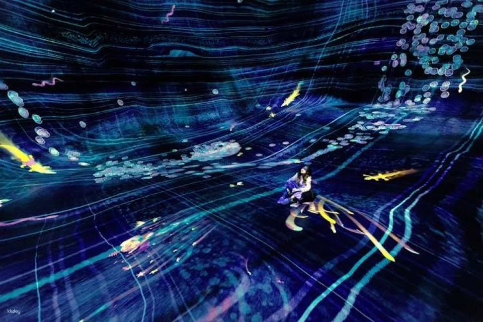 TeamLab Phenomena multisensory art experience Abu Dhabi tickets