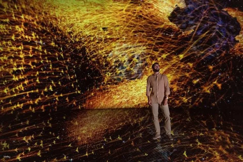 TeamLab Phenomena multisensory art experience Abu Dhabi tickets