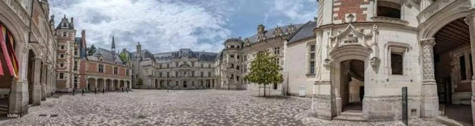 Château de Blois skip-the-line ticket