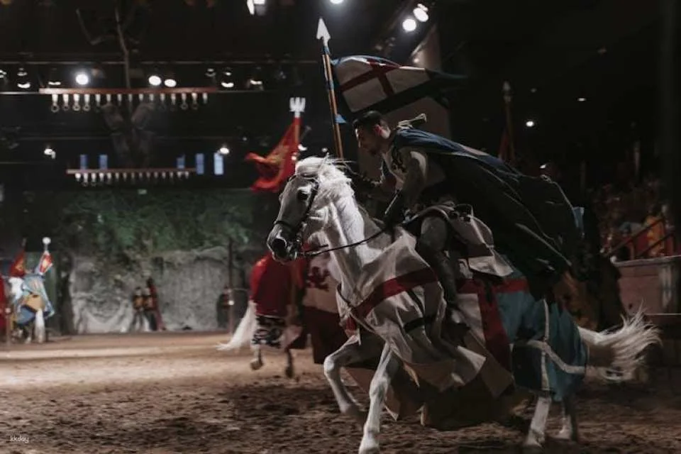 Dinner with Robin Hood themed show at Desafío Medieval