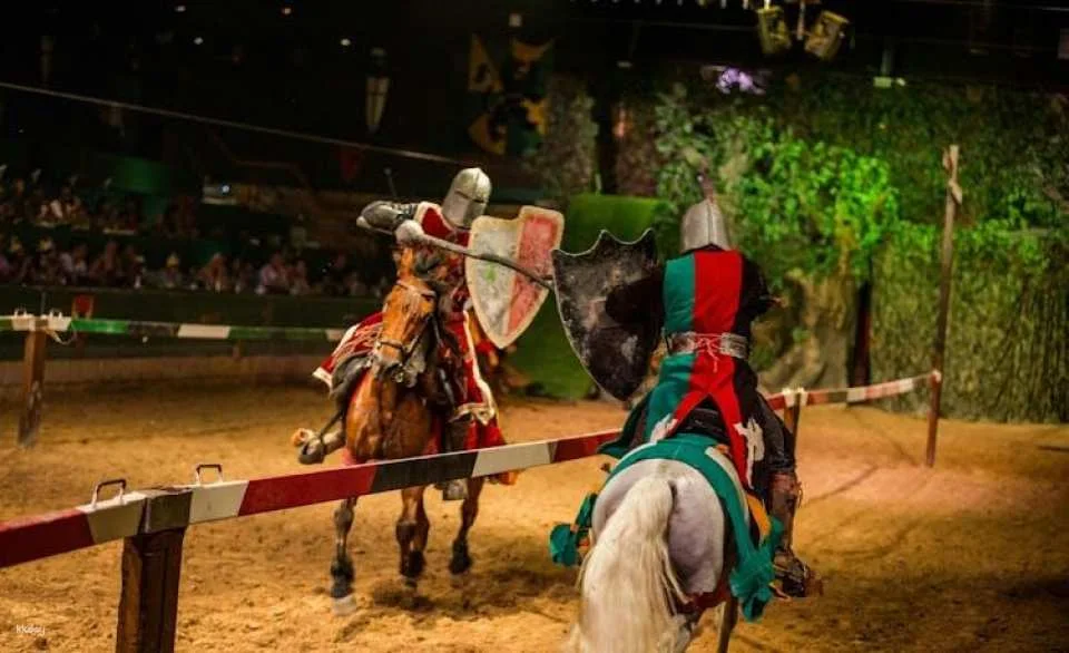 Dinner with Robin Hood themed show at Desafío Medieval