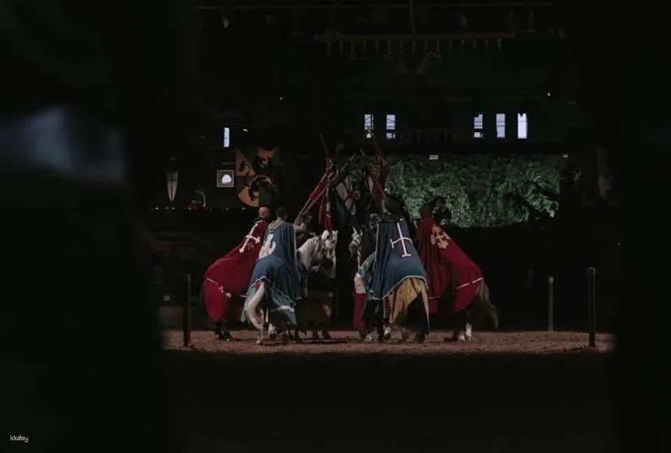 Dinner with Robin Hood themed show at Desafío Medieval
