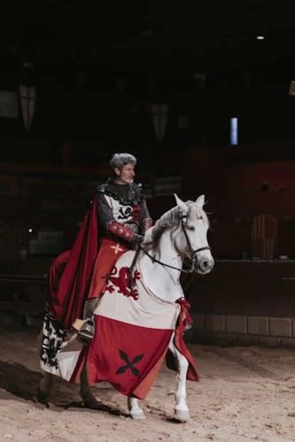 Dinner with Robin Hood themed show at Desafío Medieval