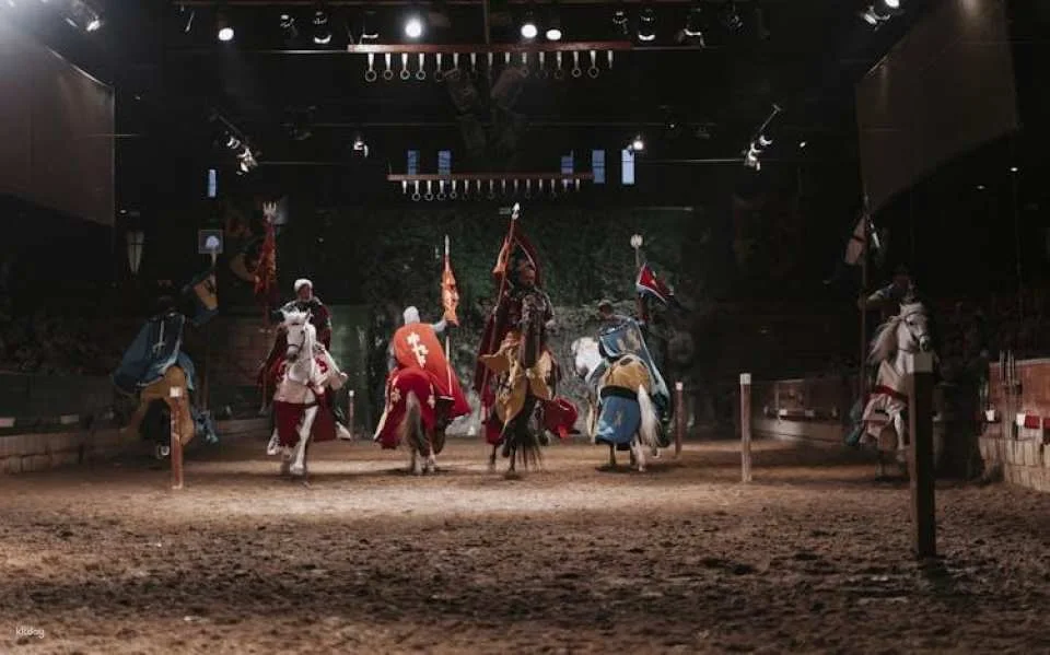 Dinner with Robin Hood themed show at Desafío Medieval
