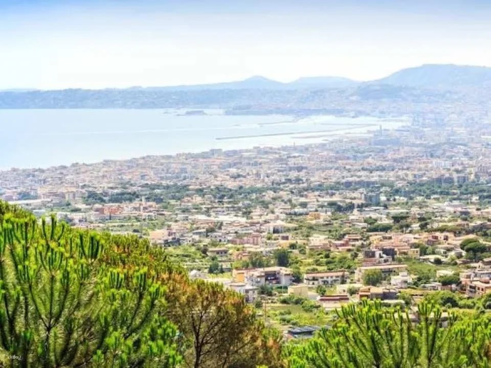 Vesuvio and Pompeii full-day audio guided tour from Naples