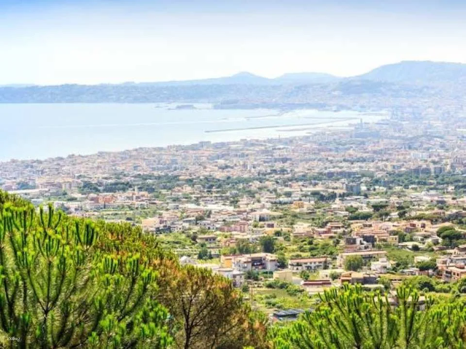 Vesuvio and Pompeii full-day audio guided tour from Naples