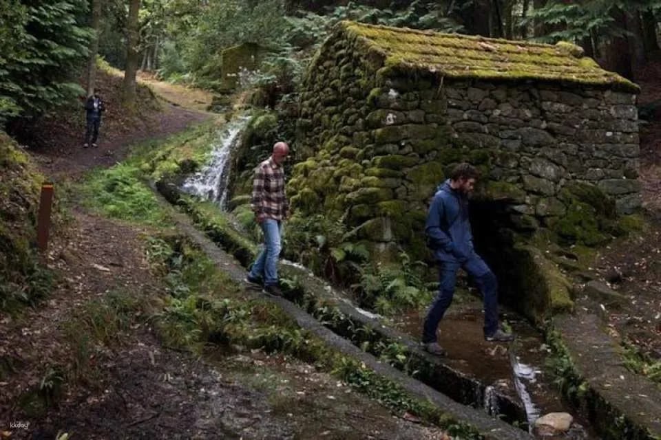 Northern Portugal Day Trip from Porto with Wine Tasting